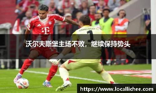 沃尔夫斯堡主场不败，继续保持势头