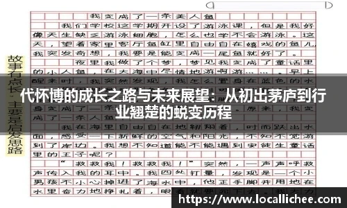 代怀博的成长之路与未来展望：从初出茅庐到行业翘楚的蜕变历程